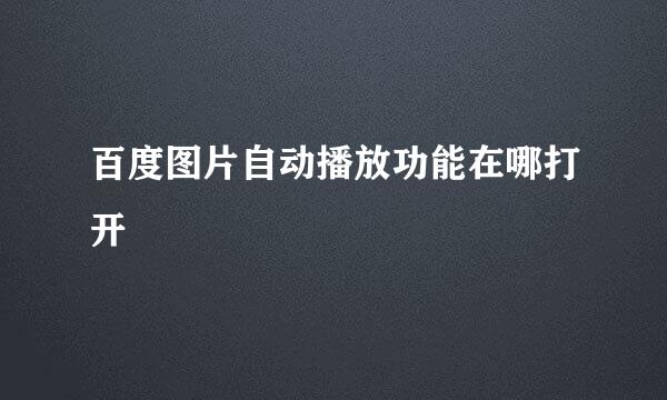 百度图片自动播放功能在哪打开