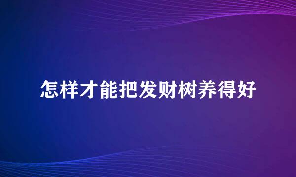 怎样才能把发财树养得好