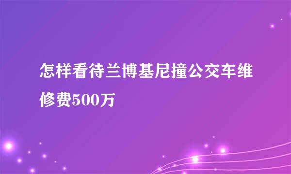 怎样看待兰博基尼撞公交车维修费500万