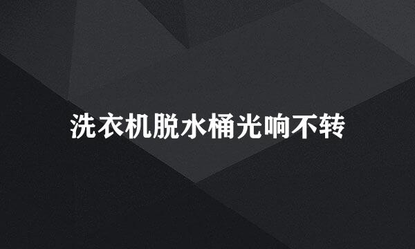 洗衣机脱水桶光响不转