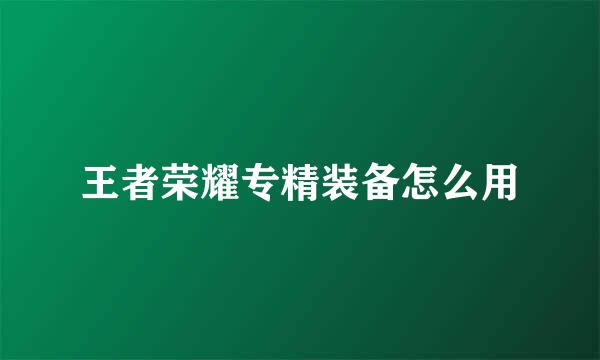王者荣耀专精装备怎么用