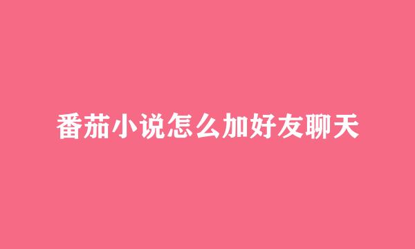 番茄小说怎么加好友聊天