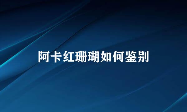 阿卡红珊瑚如何鉴别