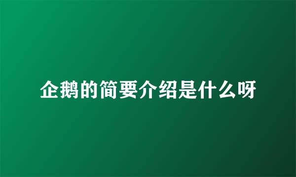 企鹅的简要介绍是什么呀