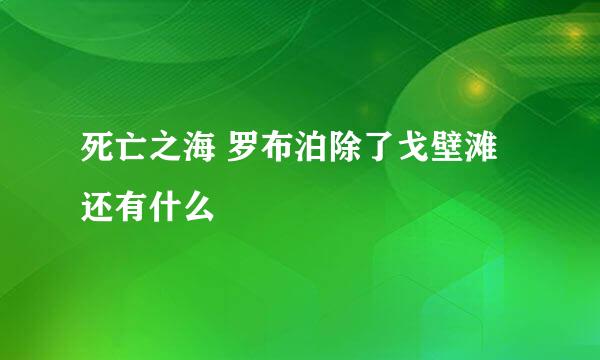死亡之海 罗布泊除了戈壁滩还有什么