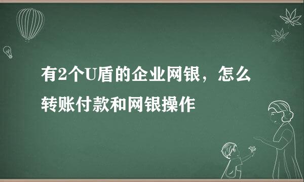 有2个U盾的企业网银，怎么转账付款和网银操作