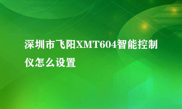 深圳市飞阳XMT604智能控制仪怎么设置