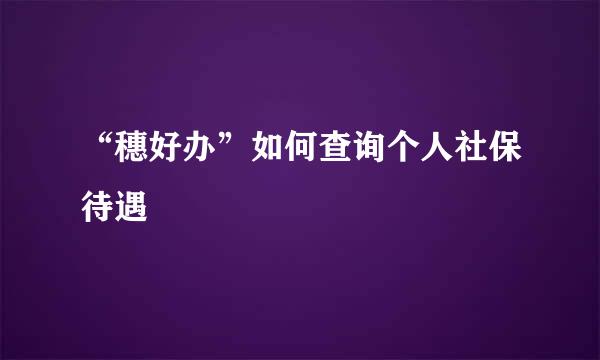“穗好办”如何查询个人社保待遇