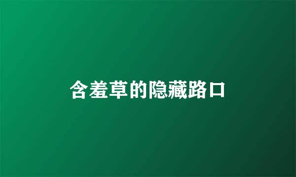 含羞草的隐藏路口