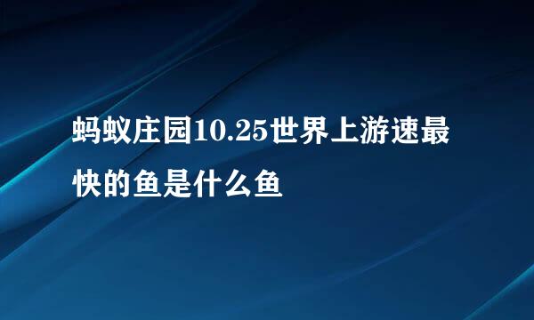 蚂蚁庄园10.25世界上游速最快的鱼是什么鱼