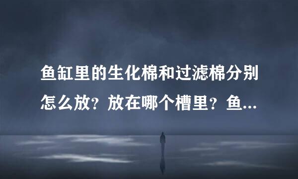 鱼缸里的生化棉和过滤棉分别怎么放？放在哪个槽里？鱼缸长这样，着急在线等，急急急！！！