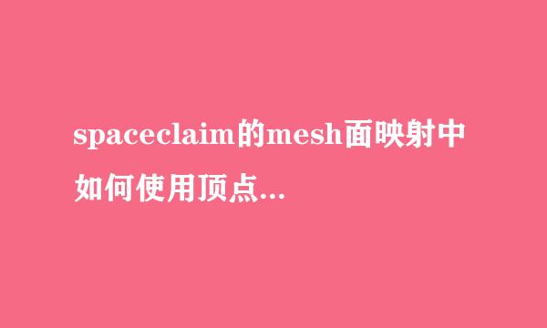 spaceclaim的mesh面映射中如何使用顶点指定功能