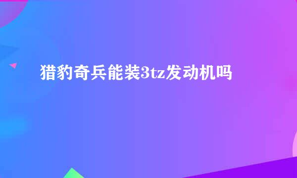 猎豹奇兵能装3tz发动机吗
