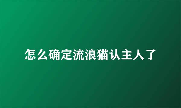 怎么确定流浪猫认主人了