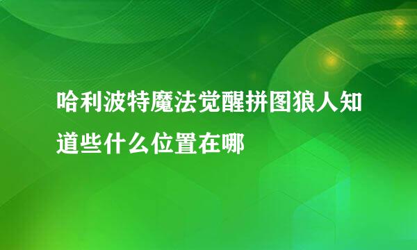 哈利波特魔法觉醒拼图狼人知道些什么位置在哪