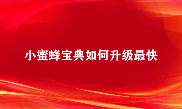 小蜜蜂宝典如何升级最快