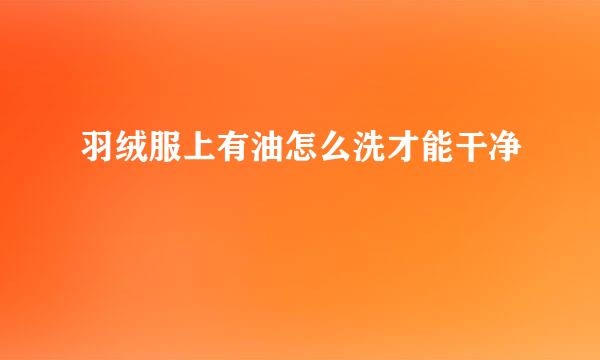 羽绒服上有油怎么洗才能干净