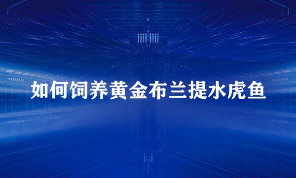 如何饲养黄金布兰提水虎鱼