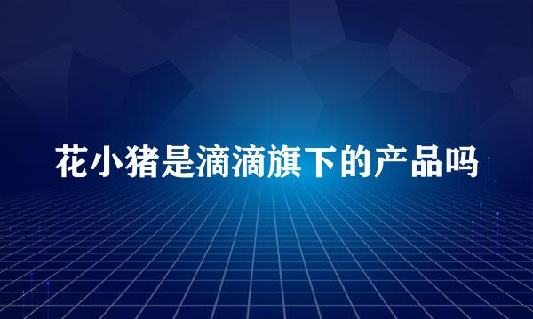花小猪是滴滴旗下的产品吗