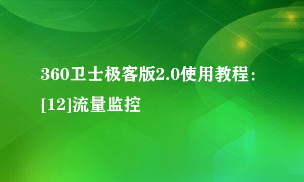 360卫士极客版2.0使用教程：[12]流量监控