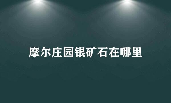 摩尔庄园银矿石在哪里