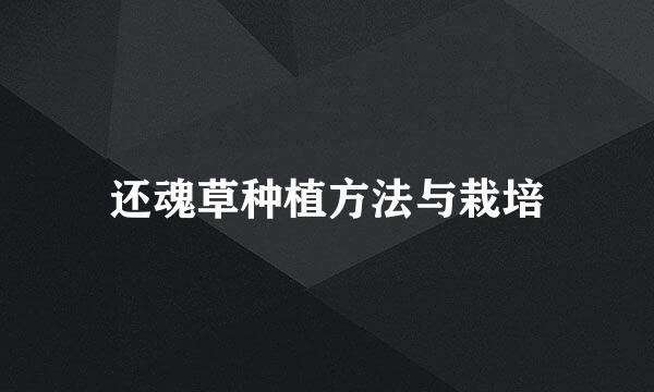 还魂草种植方法与栽培