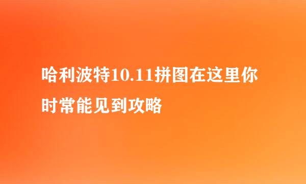 哈利波特10.11拼图在这里你时常能见到攻略