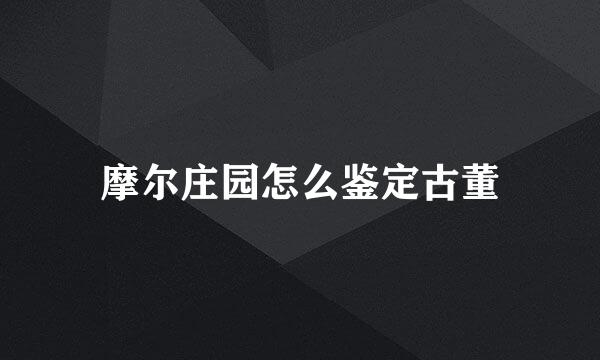 摩尔庄园怎么鉴定古董