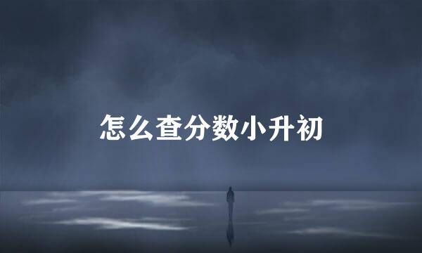 怎么查分数小升初