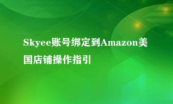 Skyee账号绑定到Amazon美国店铺操作指引
