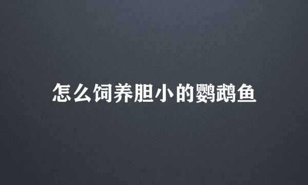 怎么饲养胆小的鹦鹉鱼