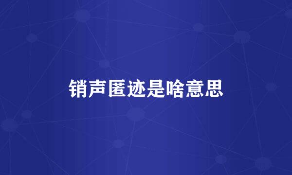 销声匿迹是啥意思