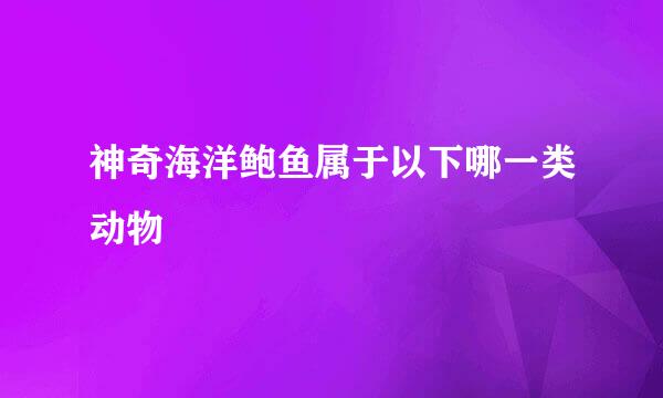 神奇海洋鲍鱼属于以下哪一类动物