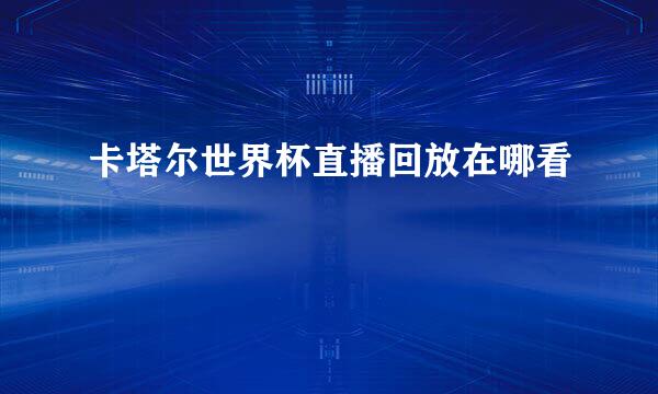 卡塔尔世界杯直播回放在哪看