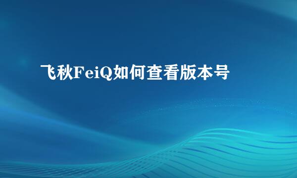 飞秋FeiQ如何查看版本号
