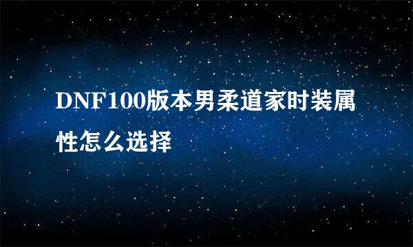 DNF100版本男柔道家时装属性怎么选择