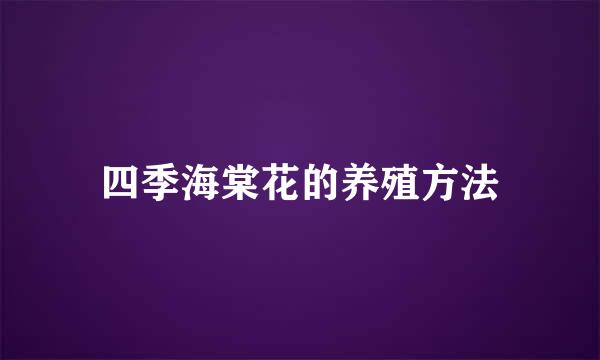 四季海棠花的养殖方法