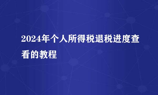 2024年个人所得税退税进度查看的教程