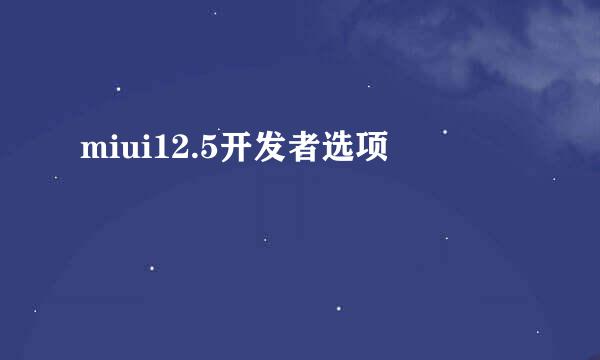 miui12.5开发者选项