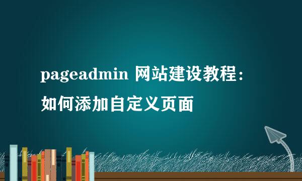 pageadmin 网站建设教程：如何添加自定义页面