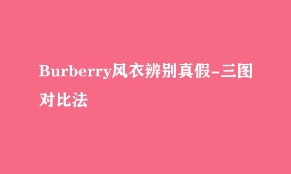 Burberry风衣辨别真假-三图对比法