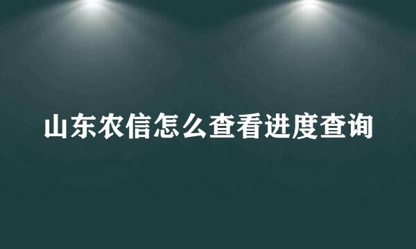 山东农信怎么查看进度查询