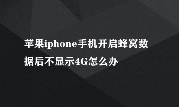 苹果iphone手机开启蜂窝数据后不显示4G怎么办