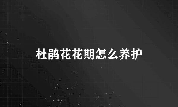 杜鹃花花期怎么养护