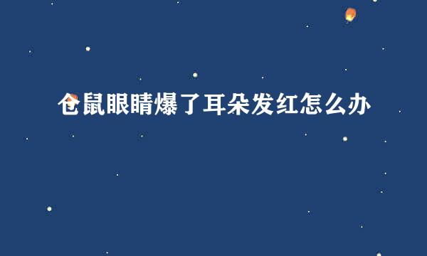 仓鼠眼睛爆了耳朵发红怎么办