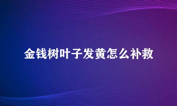 金钱树叶子发黄怎么补救