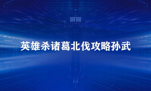 英雄杀诸葛北伐攻略孙武