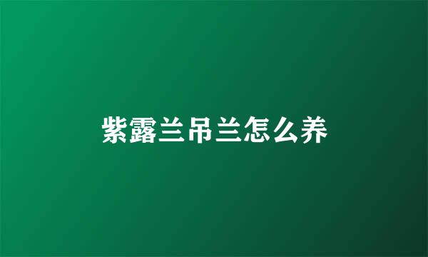 紫露兰吊兰怎么养