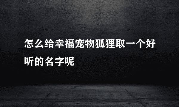 怎么给幸福宠物狐狸取一个好听的名字呢