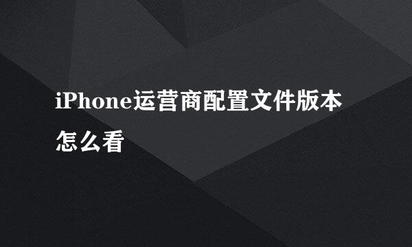 iPhone运营商配置文件版本怎么看